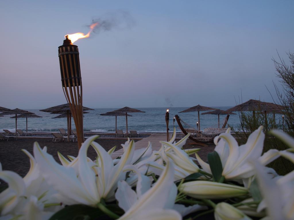 Thalatta Seaside Hotel Agia Anna  Exterior photo